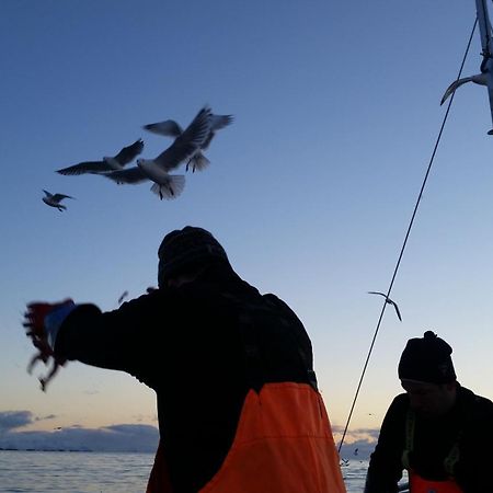 Koselig hus til leie på Stokmarknes i Vesterålen Leilighet Eksteriør bilde