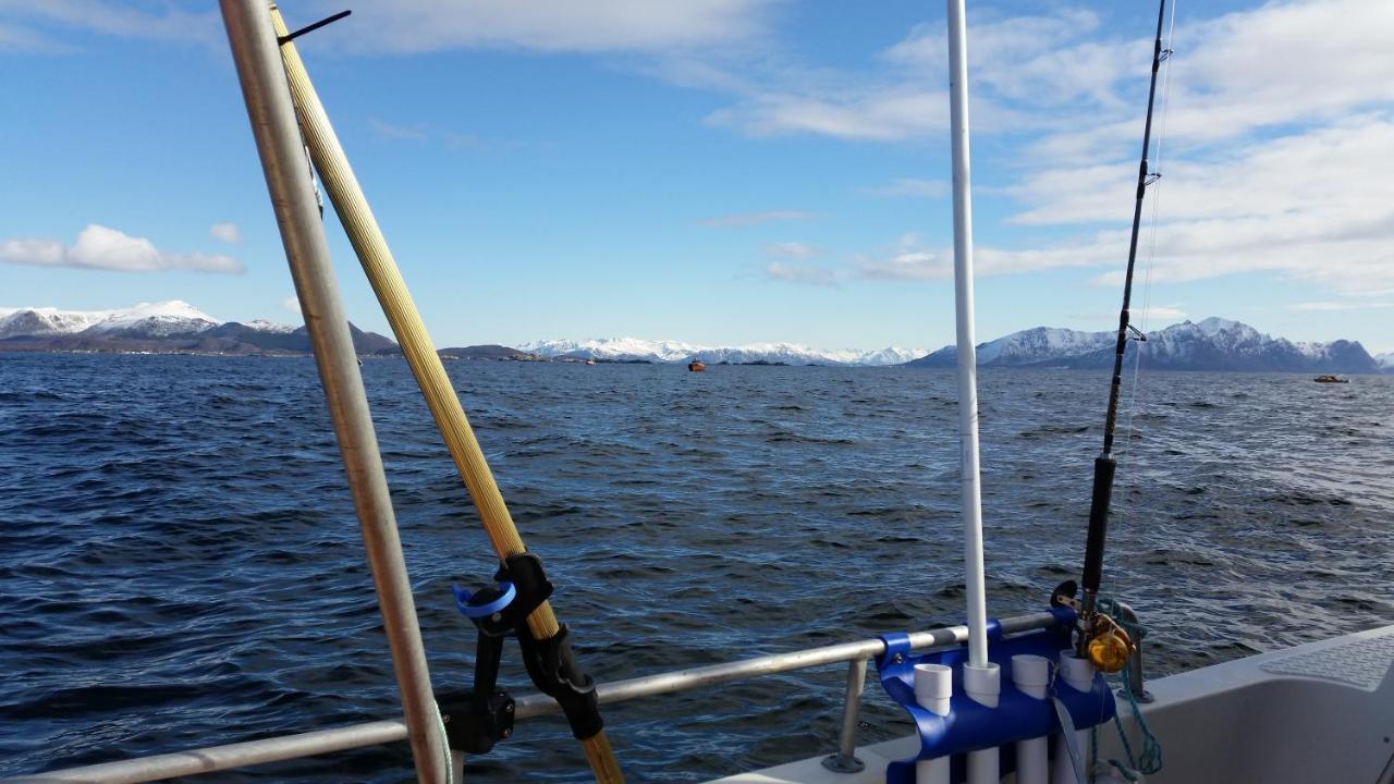 Koselig hus til leie på Stokmarknes i Vesterålen Leilighet Eksteriør bilde