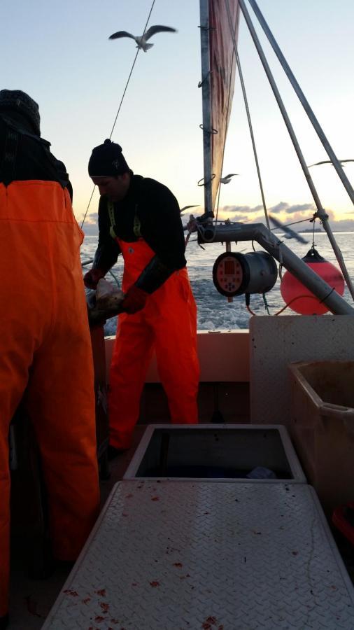Koselig hus til leie på Stokmarknes i Vesterålen Leilighet Eksteriør bilde