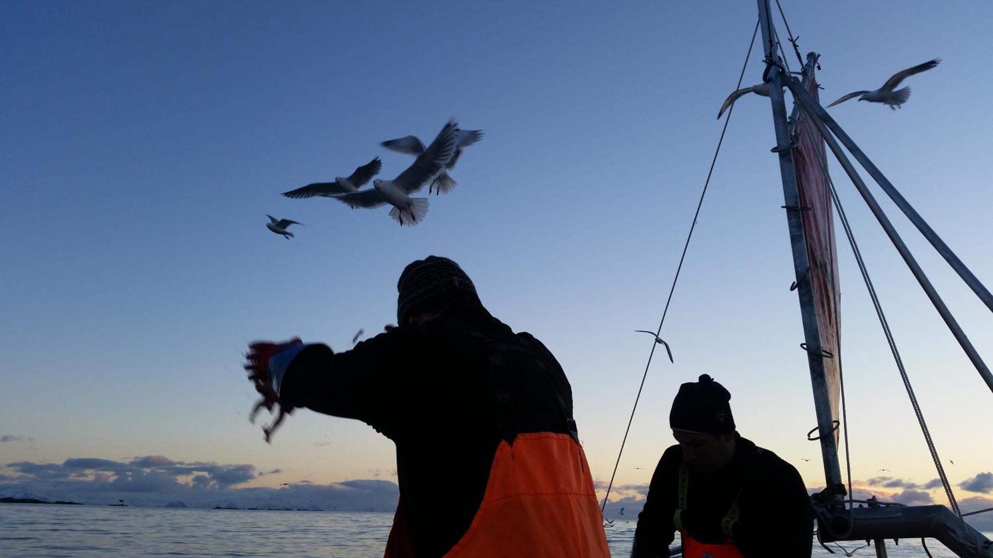 Koselig hus til leie på Stokmarknes i Vesterålen Leilighet Eksteriør bilde