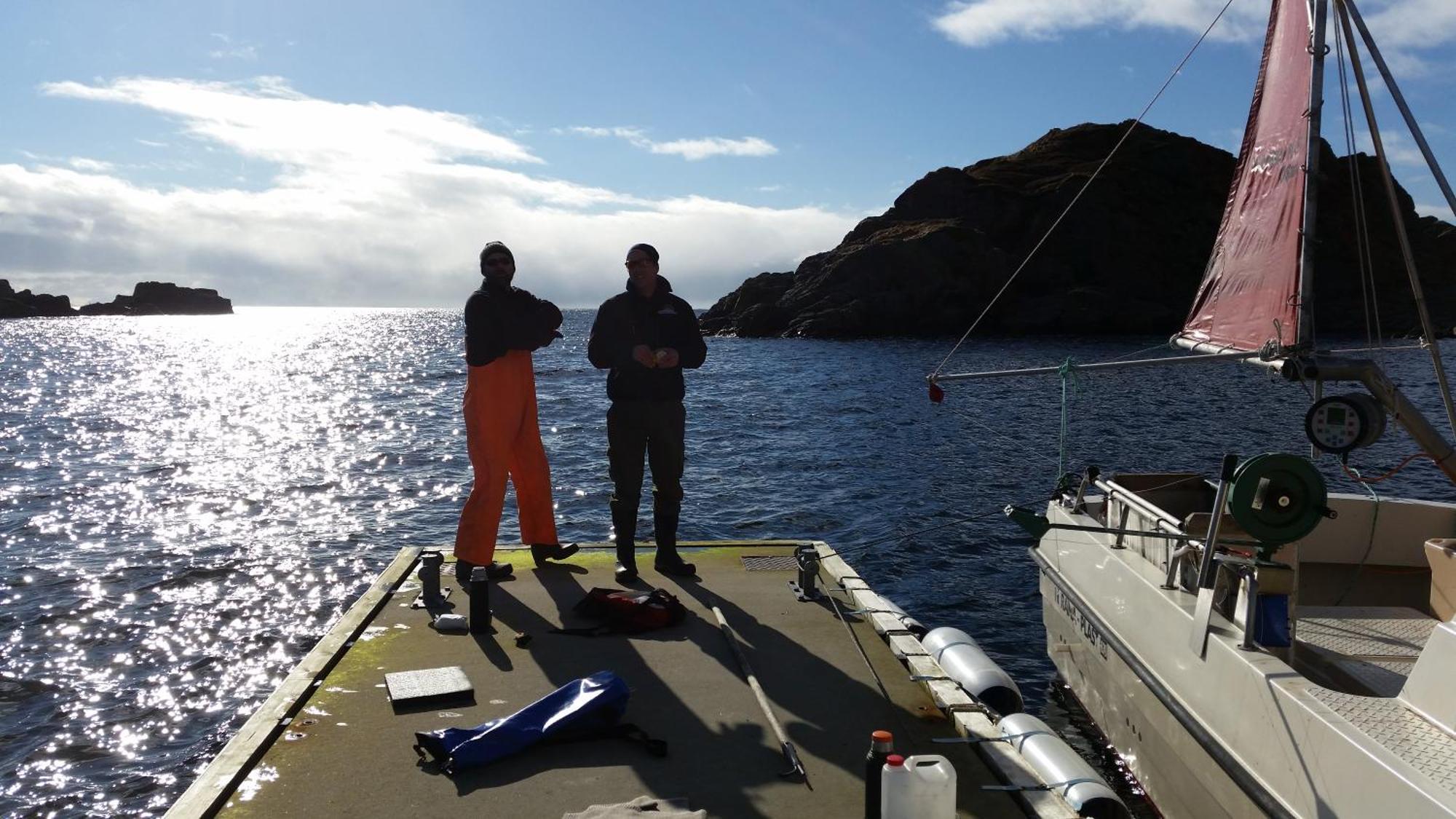 Koselig hus til leie på Stokmarknes i Vesterålen Leilighet Eksteriør bilde
